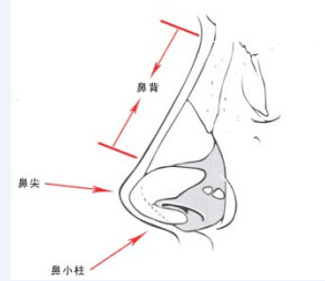 隆鼻修复方法是怎样的